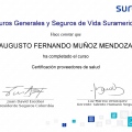Acercar imagen: certificate 2