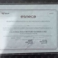 Acercar imagen: certificate 10