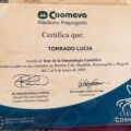 Acercar imagen: certificate 12