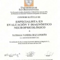 Acercar imagen: certificate 2