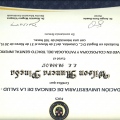 Acercar imagen: certificate 9