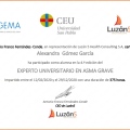 Acercar imagen: certificate 8
