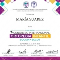 Acercar imagen: certificate 5