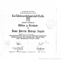 Acercar imagen: certificate 8
