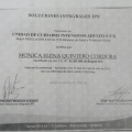 Acercar imagen: certificate 5