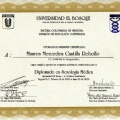 Acercar imagen: certificate 3
