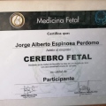 Acercar imagen: certificate 6