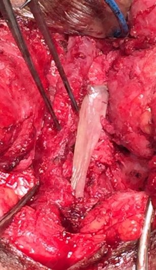 Jaime Andres Robayo-6