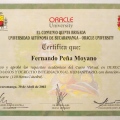 Acercar imagen: certificate 28
