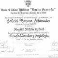 Acercar imagen: certificate 3
