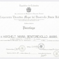 Acercar imagen: certificate 7