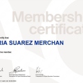 Acercar imagen: certificate 10