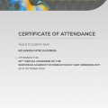 Acercar imagen: certificate 7