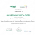 Acercar imagen: certificate 7