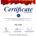 Acercar imagen: certificate 1