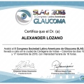 Acercar imagen: certificate 9