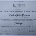 Acercar imagen: certificate 5