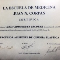 Acercar imagen: certificate 10