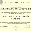 Acercar imagen: certificate 6
