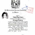 Acercar imagen: certificate 5