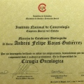 Acercar imagen: certificate 3