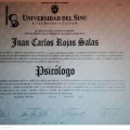 Acercar imagen: certificate 4