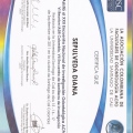 Acercar imagen: certificate 10