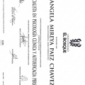 Acercar imagen: certificate 29
