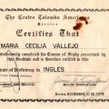 Acercar imagen: certificate 28