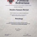 Acercar imagen: certificate 1