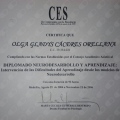 Acercar imagen: certificate 9