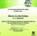 Acercar imagen: certificate 18
