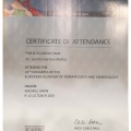 Acercar imagen: certificate 6