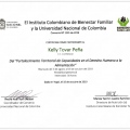 Acercar imagen: certificate 14