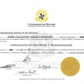 Acercar imagen: certificate 8