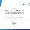 Acercar imagen: certificate 2