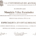 Acercar imagen: certificate 2