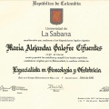 Acercar imagen: certificate 2