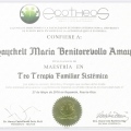 Acercar imagen: certificate 6