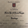 Acercar imagen: certificate 1
