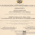 Acercar imagen: certificate 1