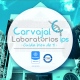 CARVAJAL LABORATORIOS IPS SAS