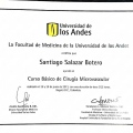 Acercar imagen: certificate 5