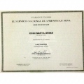 Acercar imagen: certificate 4