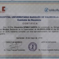Acercar imagen: certificate 11