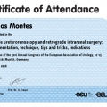 Acercar imagen: certificate 9