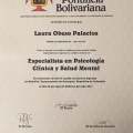 Acercar imagen: certificate 2