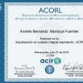 Acercar imagen: certificate 4