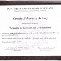 Acercar imagen: certificate 11