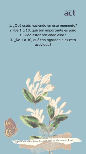 Johan Sebastian Medina Cañon-9